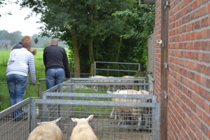 Evaluatie