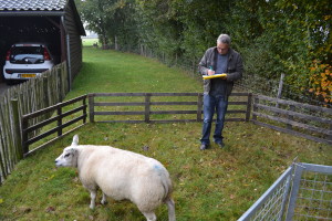 laatste-opname-26-10-2016-2