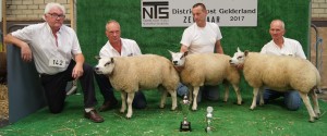 Overall Kampioen afstammingsgroep 3213-24453 Eig. L.H. de Reus uit Didam