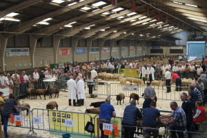 Overzicht van de keuring in Zevenaar.